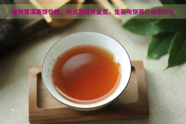 老树普洱茶饼价格、特点及图片全览，生茶与饼茶价格表对比