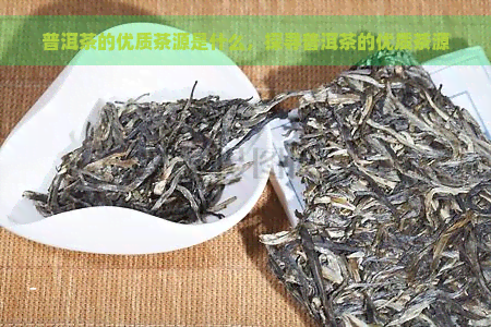 普洱茶的优质茶源是什么，探寻普洱茶的优质茶源