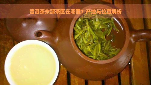 普洱茶东部茶区在哪里？产地与位置解析