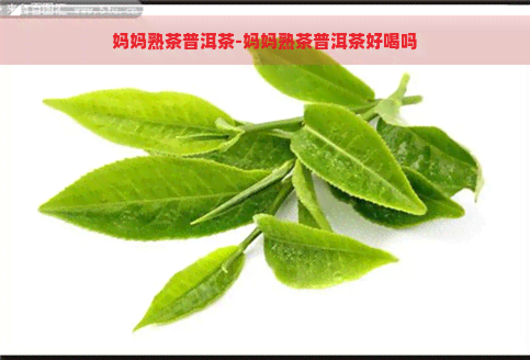 妈妈熟茶普洱茶-妈妈熟茶普洱茶好喝吗