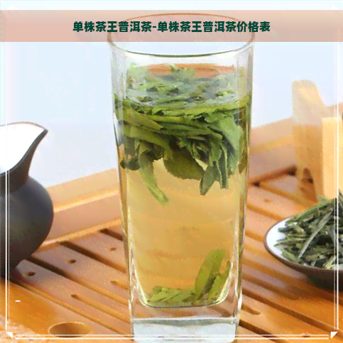 单株茶王普洱茶-单株茶王普洱茶价格表