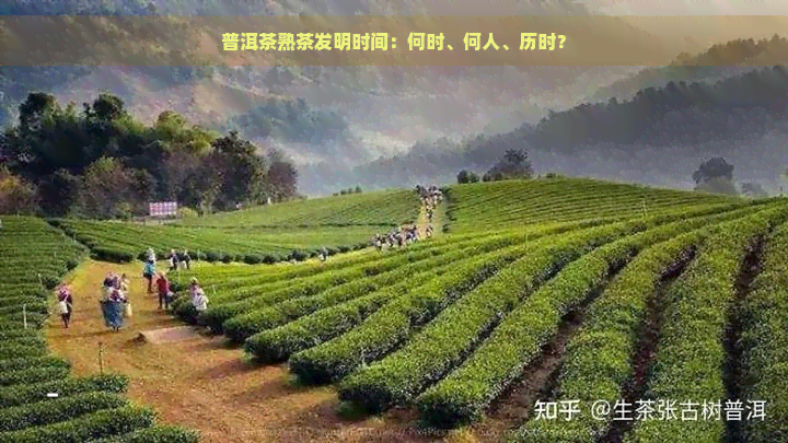 普洱茶熟茶发明时间：何时、何人、历时？