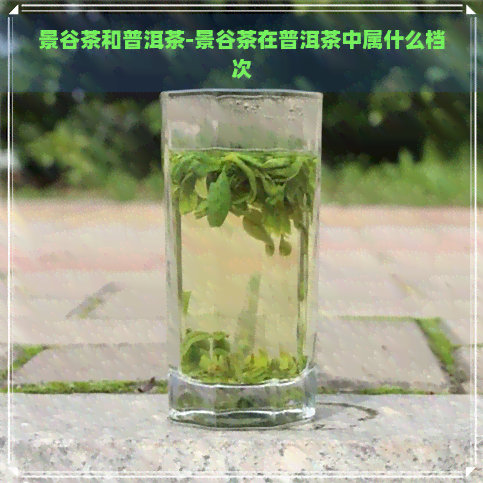 景谷茶和普洱茶-景谷茶在普洱茶中属什么档次