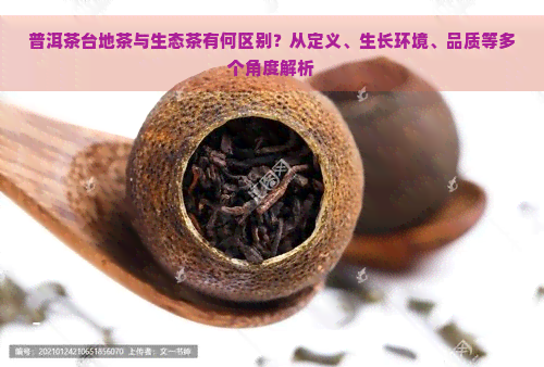 普洱茶台地茶与生态茶有何区别？从定义、生长环境、品质等多个角度解析