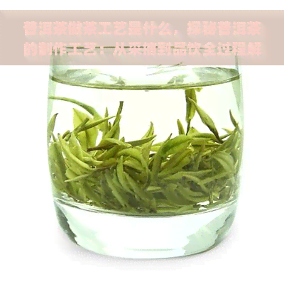 普洱茶做茶工艺是什么，探秘普洱茶的制作工艺：从采摘到品饮全过程解析