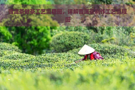 普洱茶做茶工艺流程图，详解普洱茶制作工艺流程图