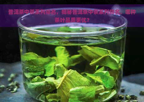 普洱茶中茶系列排名，揭秘普洱茶中茶系列排名，哪种茶叶品质更优？