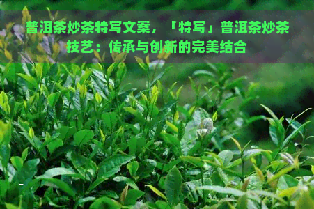 普洱茶炒茶特写文案，「特写」普洱茶炒茶技艺：传承与创新的完美结合