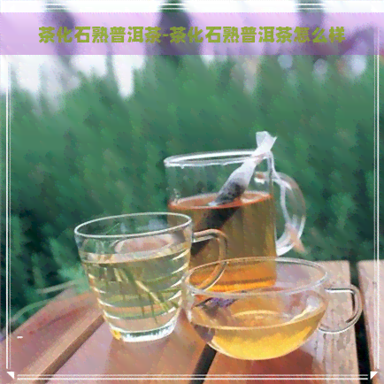 茶化石熟普洱茶-茶化石熟普洱茶怎么样