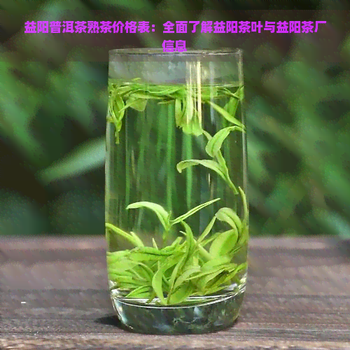 益阳普洱茶熟茶价格表：全面了解益阳茶叶与益阳茶厂信息