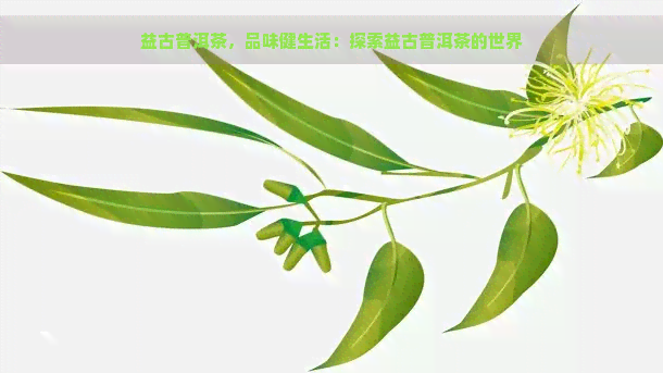 益古普洱茶，品味健生活：探索益古普洱茶的世界