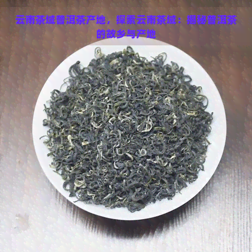 云南茶域普洱茶产地，探索云南茶域：揭秘普洱茶的故乡与产地