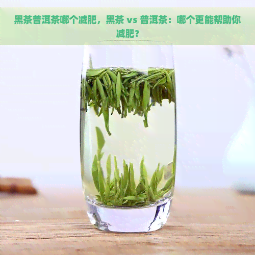 黑茶普洱茶哪个减肥，黑茶 vs 普洱茶：哪个更能帮助你减肥？