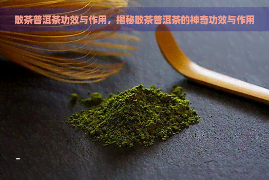 散茶普洱茶功效与作用，揭秘散茶普洱茶的神奇功效与作用