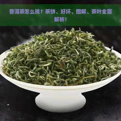 普洱茶怎么挑？茶饼、好坏、图解、茶叶全面解析！