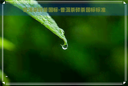 普洱茶碎茶国标-普洱茶碎茶国标标准