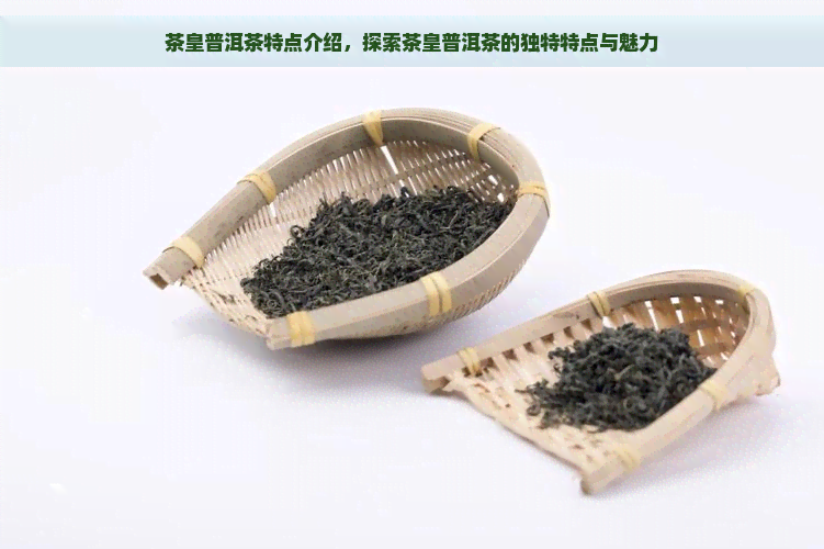 茶皇普洱茶特点介绍，探索茶皇普洱茶的独特特点与魅力