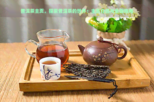 普洱茶主页，探索普洱茶的世界：主页介绍与全面指南