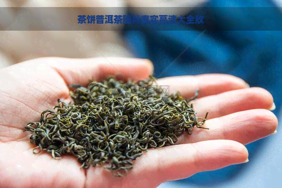 茶饼普洱茶图片真实高清大全欣