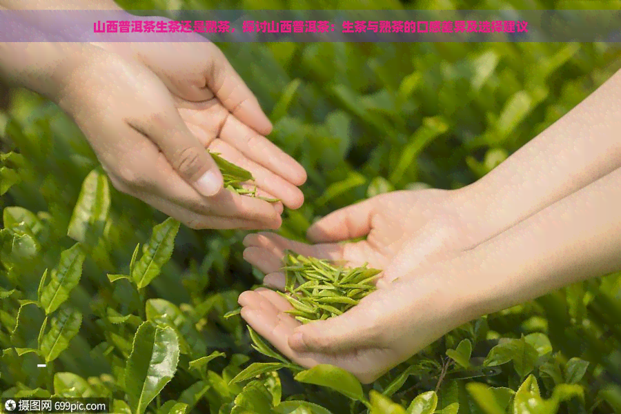 山西普洱茶生茶还是熟茶，探讨山西普洱茶：生茶与熟茶的口感差异及选择建议