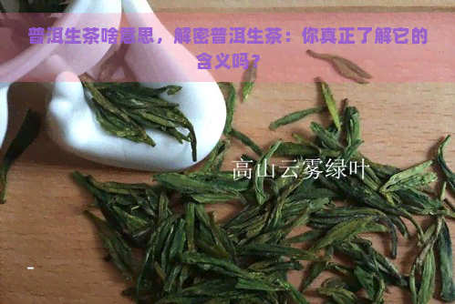 普洱生茶啥意思，解密普洱生茶：你真正了解它的含义吗？