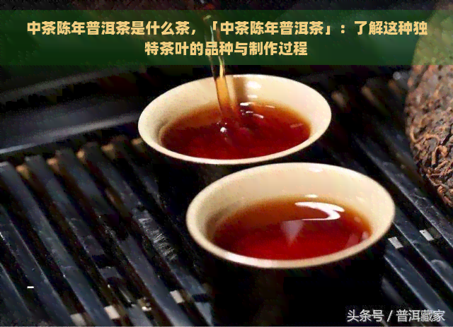 中茶陈年普洱茶是什么茶，「中茶陈年普洱茶」：了解这种独特茶叶的品种与制作过程