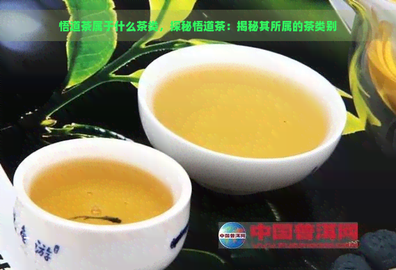 悟道茶属于什么茶类，探秘悟道茶：揭秘其所属的茶类别