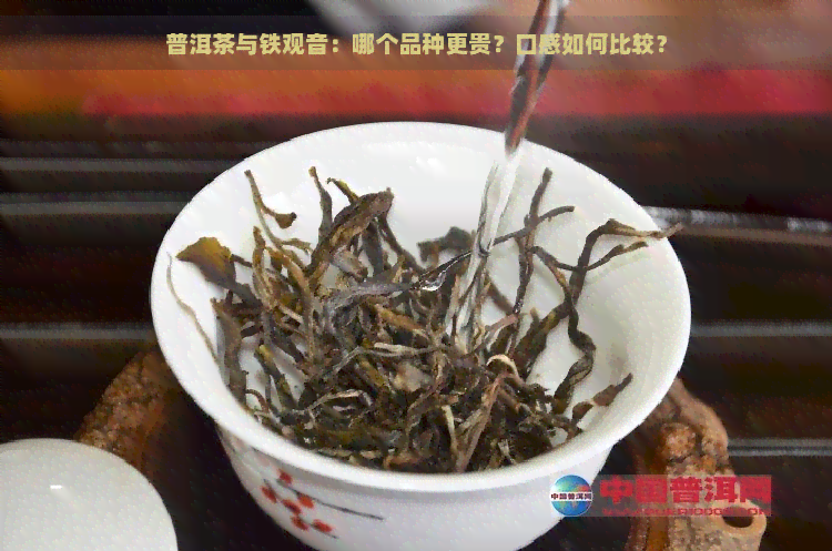 普洱茶与铁观音：哪个品种更贵？口感如何比较？