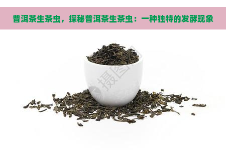 普洱茶生茶虫，探秘普洱茶生茶虫：一种独特的发酵现象