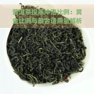 普洱茶投茶冲泡比例：黄金比例与最合适用量解析