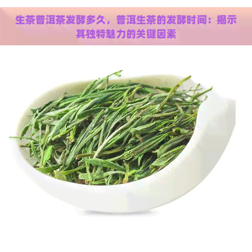 生茶普洱茶发酵多久，普洱生茶的发酵时间：揭示其独特魅力的关键因素