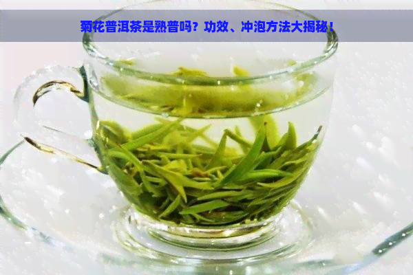 菊花普洱茶是熟普吗？功效、冲泡方法大揭秘！