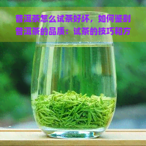 普洱茶怎么试茶好坏，如何鉴别普洱茶的品质：试茶的技巧和方法