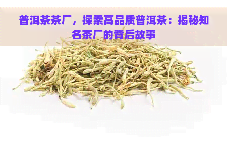 普洱茶茶厂，探索高品质普洱茶：揭秘知名茶厂的背后故事