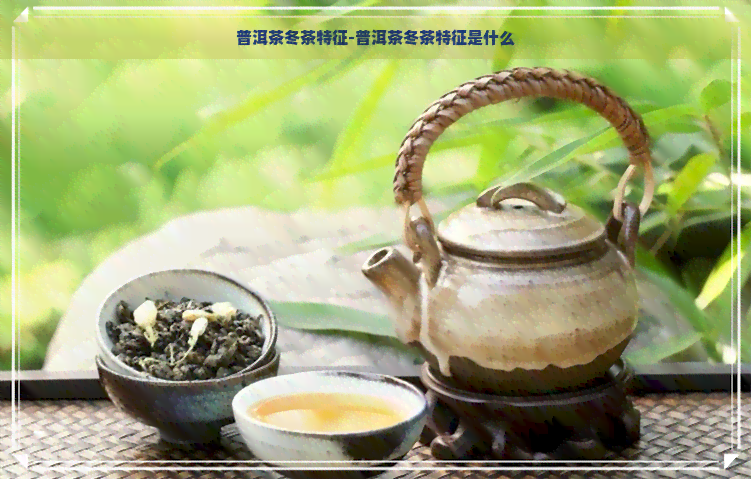 普洱茶冬茶特征-普洱茶冬茶特征是什么