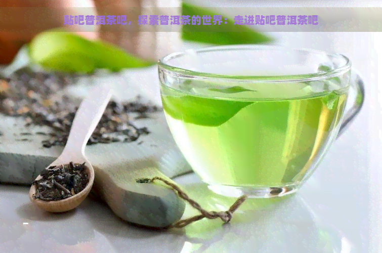 贴吧普洱茶吧，探索普洱茶的世界：走进贴吧普洱茶吧