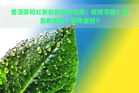 普洱茶和红茶的功效与作用：有何不同？禁忌有哪些？哪种更好？