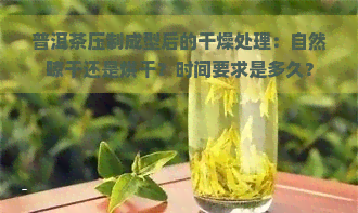 普洱茶压制成型后的干燥处理：自然晾干还是烘干？时间要求是多久？