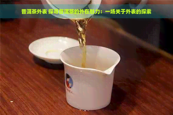 普洱茶外表 探寻普洱茶的外在魅力：一场关于外表的探索