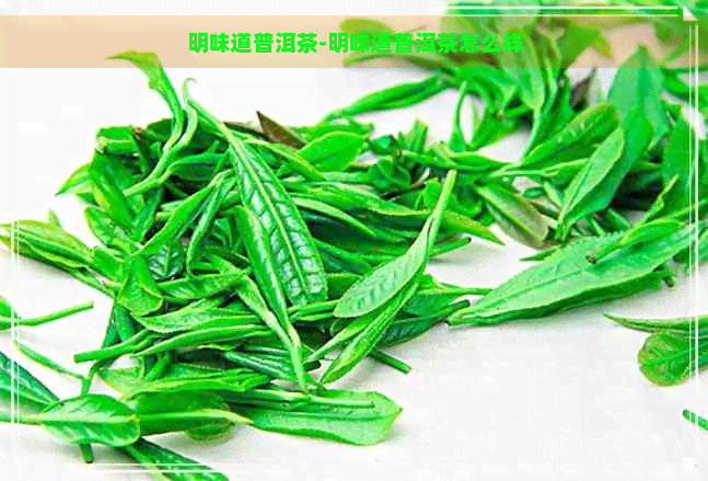 明味道普洱茶-明味道普洱茶怎么样