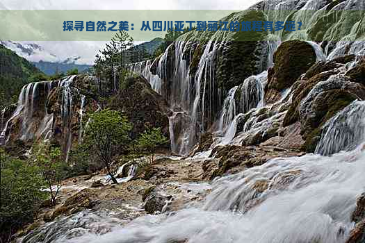 探寻自然之美：从四川亚丁到丽江的旅程有多远？