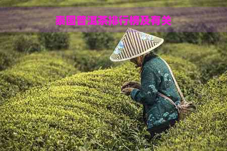 泰国普洱茶排行榜及有关