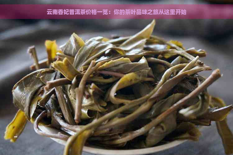 云南香妃普洱茶价格一览：你的茶叶品味之旅从这里开始