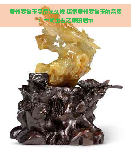 贵州罗甸玉品质怎么样 探索贵州罗甸玉的品质：一场玉石之旅的启示