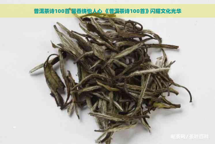 普洱茶诗100首 馨香绕怡人心 《普洱茶诗100首》闪耀文化光华