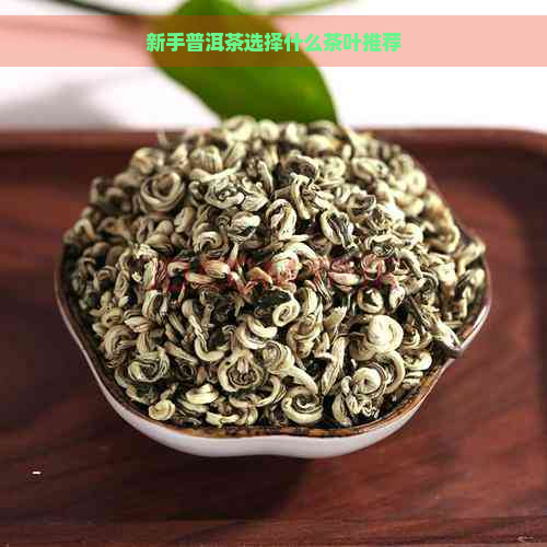 新手普洱茶选择什么茶叶推荐