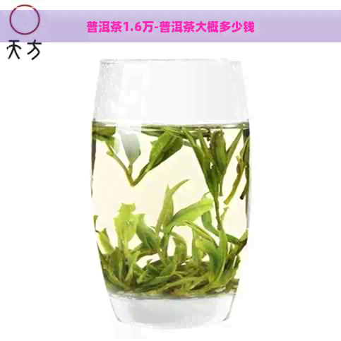 普洱茶1.6万-普洱茶大概多少钱