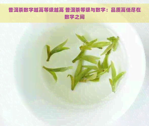 普洱茶数字越高等级越高 普洱茶等级与数字：品质高低尽在数字之间