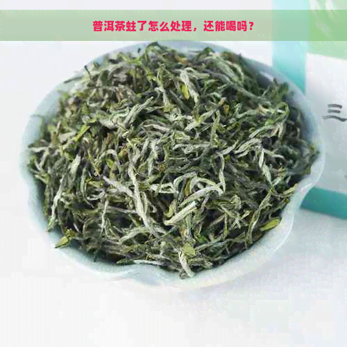 普洱茶蛀了怎么处理，还能喝吗？