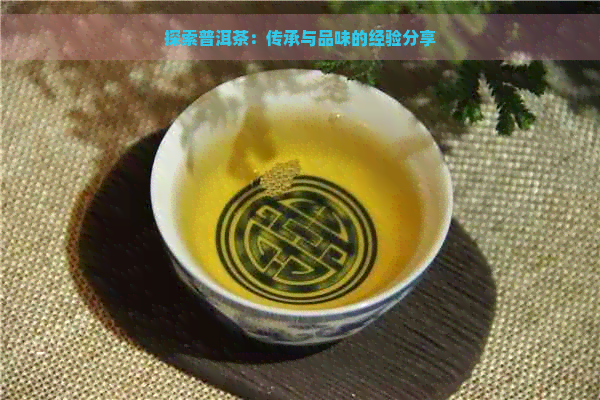 探索普洱茶：传承与品味的经验分享